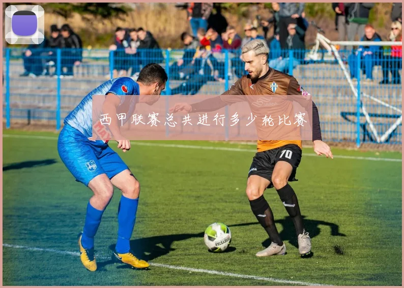 西甲联赛总共进行多少轮比赛