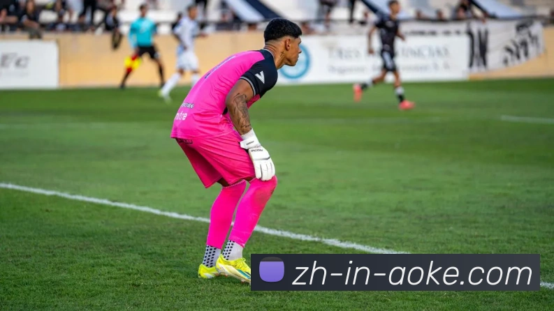 澳客足彩平台生态图