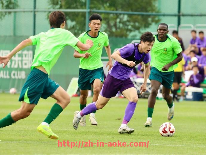 澳客足彩-法甲外援在球队中的影响力解析:从场上表现到文化融合